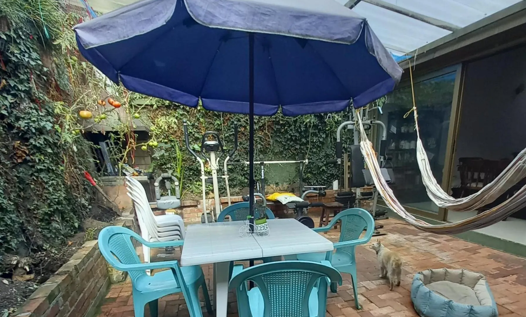 Homestay Amplia Casa Familiar Apartment Bogota Colombia